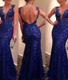 Trumpet/Mermaid V-neck Sleeveless Appliqued Long Lace Prom Dresses
