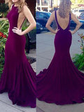 Sheath/Column Sleeveless Scoop Spandex Long Prom Dresses