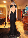 Sheath/Column V-neck Sweep/Brush Train Sleeveless Plus Size Prom Evening Dresses with Lace