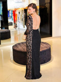 Sheath/Column Long Sleeves Long Sleeveless Plus Size Prom Evening Dresses with Lace