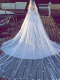 Ball Gown V-neck Chapel Train Sleeveless Satin Chiffon Wedding Dresses