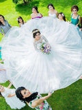 Ball Gown Bateau Court Train Long Sleeves Tulle Bridal Gown