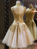 A-Line/Princess High Neck Tulle Sleeveless Short/Mini Prom Dresses with Applique