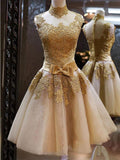 A-Line/Princess High Neck Tulle Sleeveless Short/Mini Prom Dresses with Applique