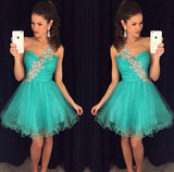 A-Line/Princess One-Shoulder Tulle Sleeveless Short/Mini Dresses with Applique