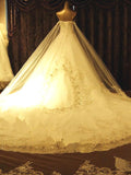Ball Gown Sweetheart Court Train Sleeveless Tulle Wedding Dresses with Beading