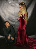 Trumpet/Mermaid High Neck Court Train Velvet Long Sleeves Prom Evening Dresses with Applique