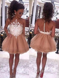 A-Line/Princess Bateau Tulle Sleeveless Short/Mini Dresses with Applique