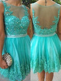 A-Line/Princess Scoop Tulle Sleeveless Short/Mini Homecoming Dresses with Applique